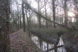 Peultenbossen - houten brugbeek